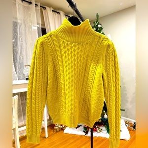 Ann Taylor Lime Light: Vibrant Cable Knit Turtleneck Sweater